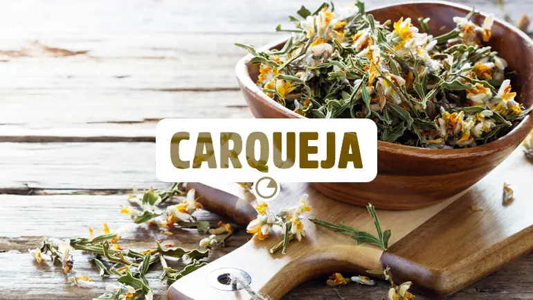 Carqueja e seus benefícios para a saúde.