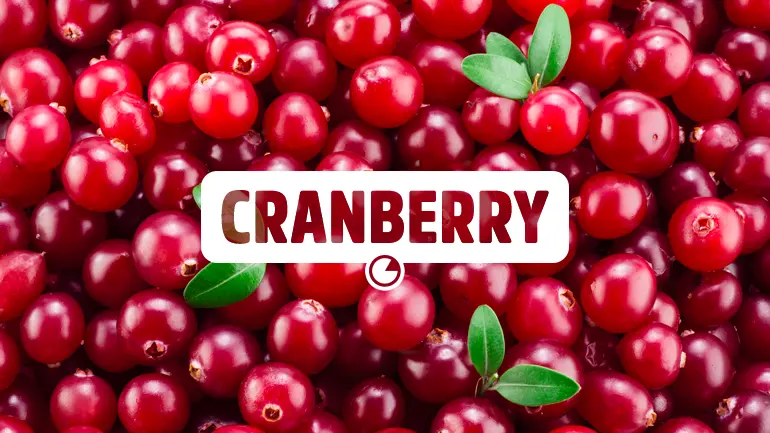 Cranberry e seus benefícios para a saúde.