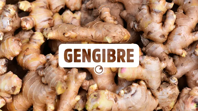 Gengibre e seus benefícios para a saúde.