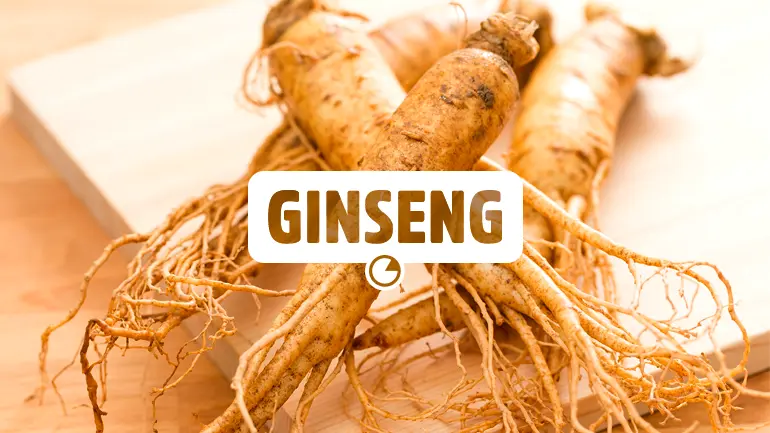 Ginseng e seus benefícios para a saúde.