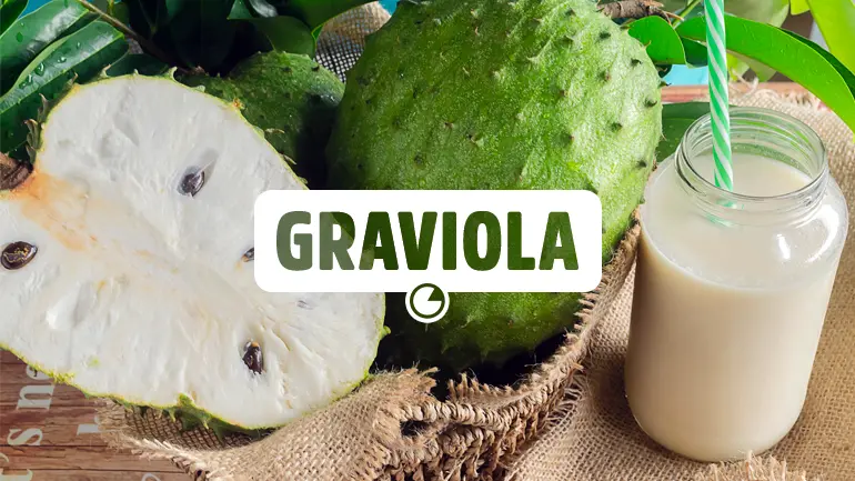 Graviola e seus benefícios para a saúde.