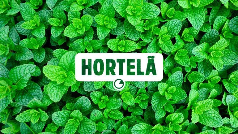 Hortelã e seus benefícios para a saúde.