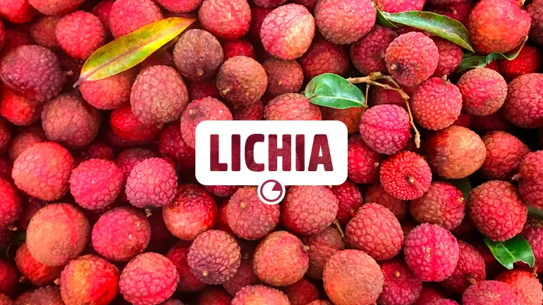 Lichia e seus benefícios para a saúde.
