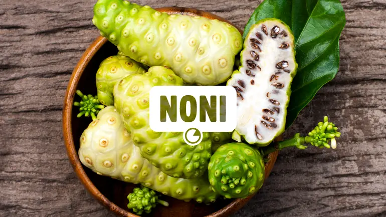 Noni e seus benefícios para a saúde.