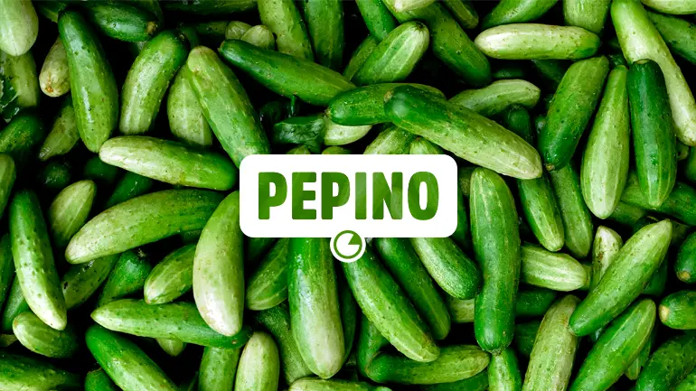 Pepino e seus benefícios para a saúde.