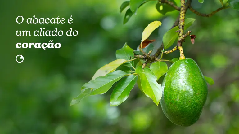 O abacate é um aliado do coração